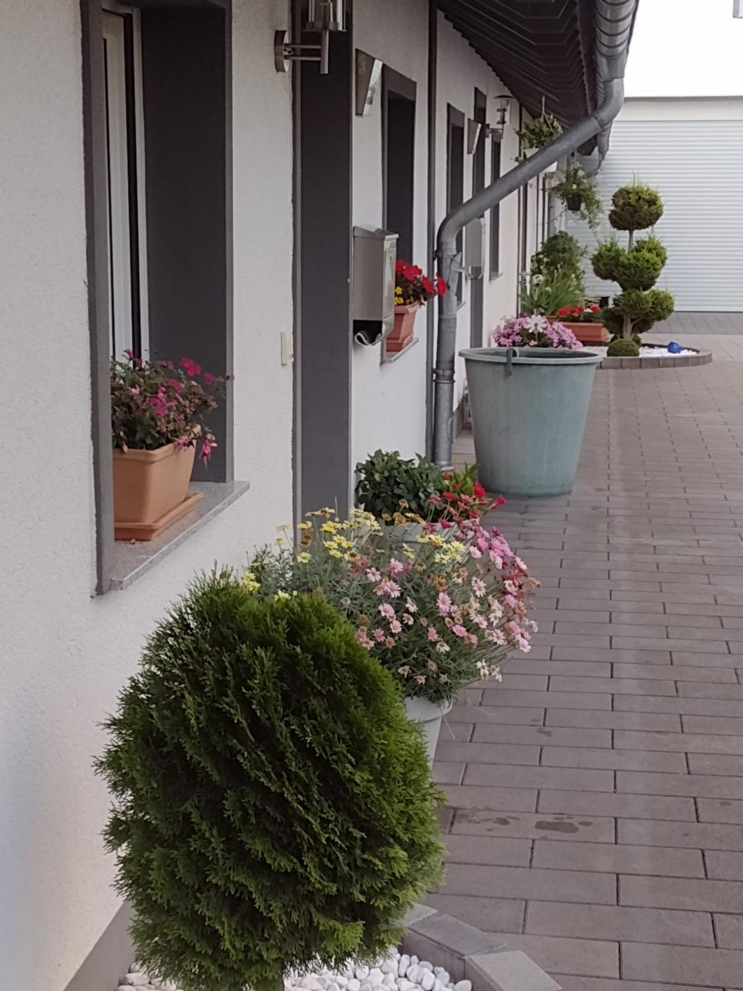 Ferienwohnung Blumenparadies Nettersheim Ngoại thất bức ảnh